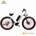 En15194 Approved Middle Drive Motor Electric Bicycle